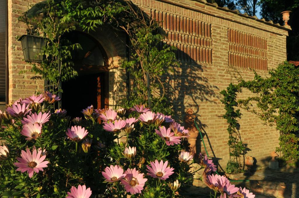 Relais Castelluccio Palusse Pensionat Città della Pieve Eksteriør billede